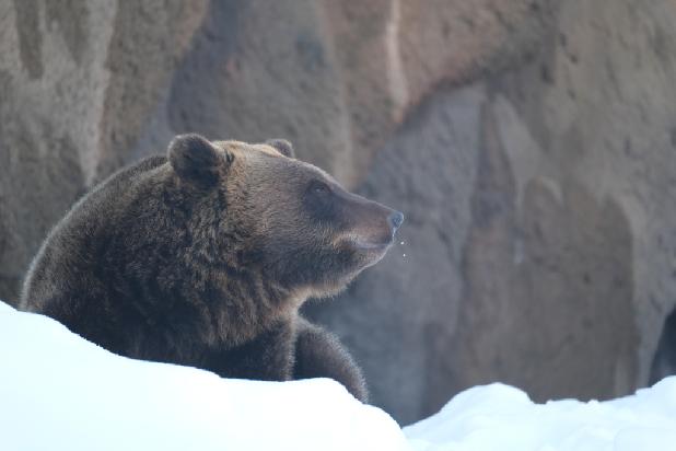 �������� ����� � ������ ����! 