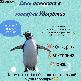 22       ,    !🐧
