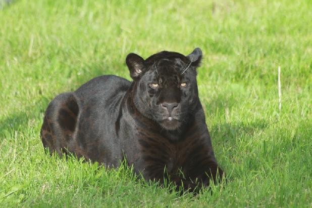 � ������ ���� �����!