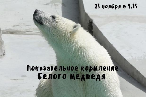    ❄