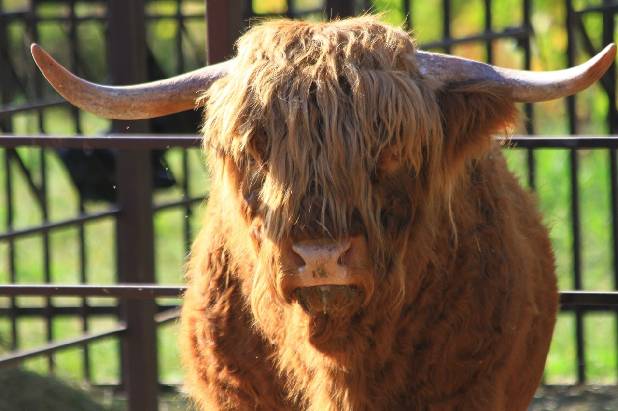 ��������� �������� - ���������� �����!