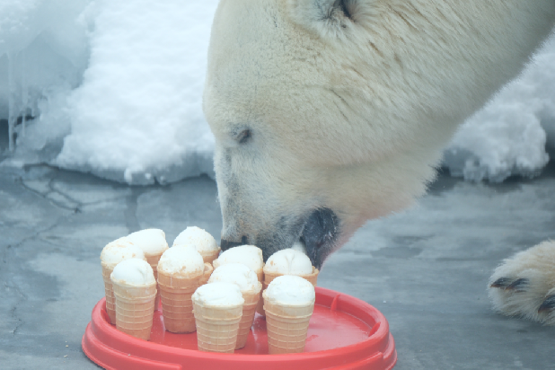 ������������� ���� ��������� �������!