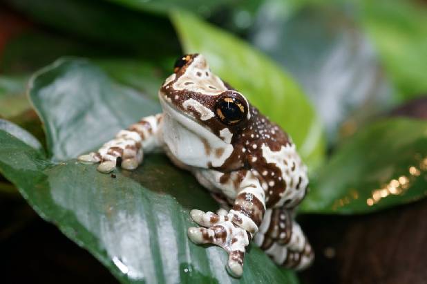 ����� ������ �������� ��������!