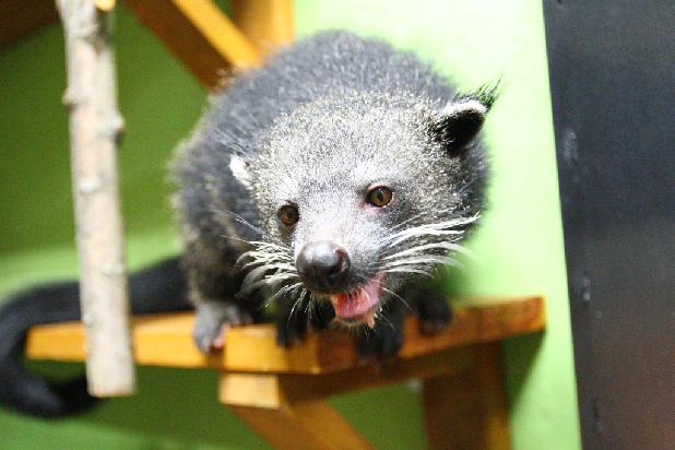 �������������� ���������� ���� � ����� ��������� ���� 2 ����!