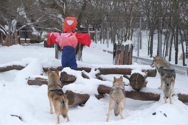 ��������� - 2026!