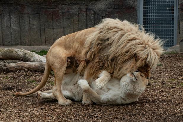 ���� ��������!