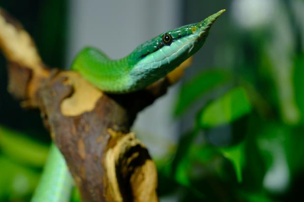 ������ ����������!