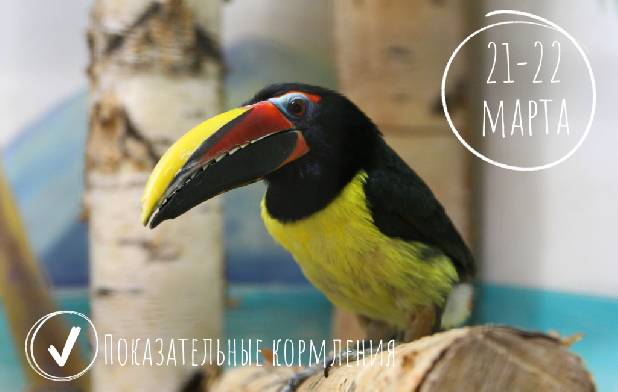 ������������� ���������