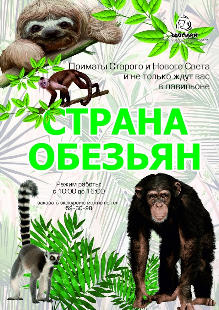 Mnzgd11uPvo.jpg