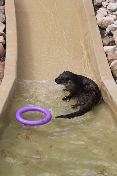 ����������� ������ � �����!