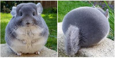 �������� - ���������� � ����� �������� �������, ��������� � ��������� ���� ��������!