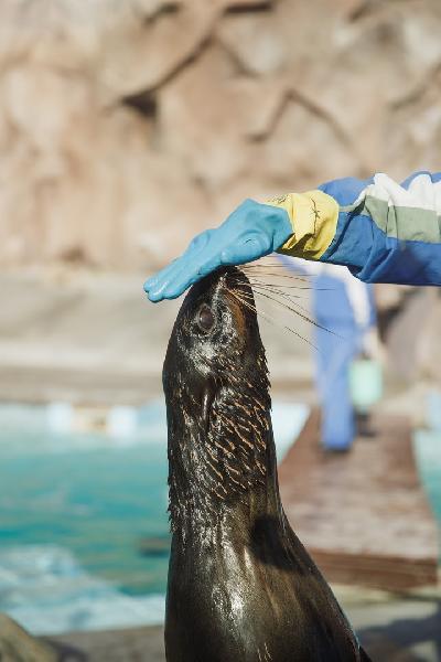 ������� �������� � ����������� ��� ��� ��������, � 09:00 �� 16:00