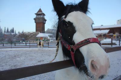 � �������� ������ �������� ���������! 