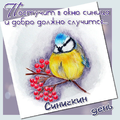 ��� ������! �������� ���� � �������� ��������🐦