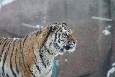 2022 - ��� �������� �������� �����