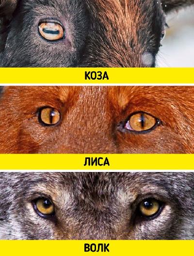 ����� ������� � �������� ������� �� �� ������ �����