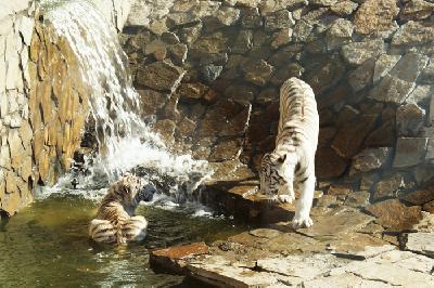 ������ ������ ��������👍🏻