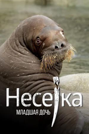 ���� �������� � �������� ��������!