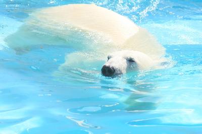 ����� ������� � �����