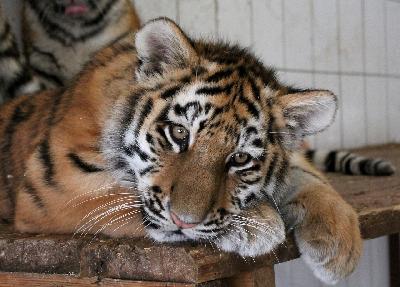 ��� ��������� ������ 2022 ����, ���� ��� ������� � ������� ������?