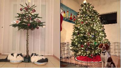 �� ����� ���������� ���� � ���������! 