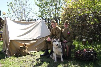 ���� ������ � �������� ��������