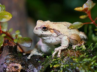 ���� �������