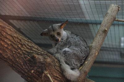 ����� ������� ����� � �������� ... � ���������� �������😳