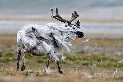 ������� ����� ��������� ��� ������ �������� ������?