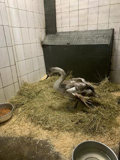 ������� �������� ������ �������������� �� ������� ����������� �������!