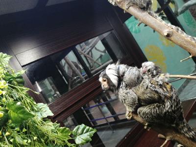 �� ������!