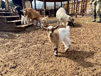 � �������� �������� ��������� �������� ����������! 🤍