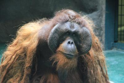 ������� ����� ���������� ����� ��������� "������ �������" ��������� ������������!