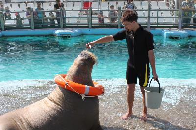 ��� ���������! 