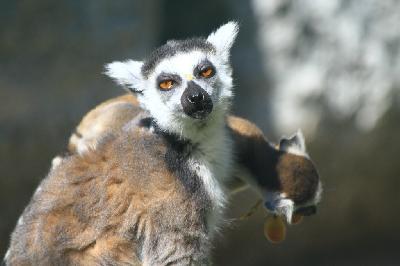 �� ��������