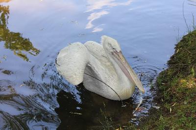 � �� ���������� �������� �� ���� ���������� ������! �� ������������� ������� � � ����� ��������!