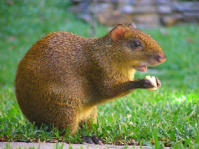 ����� � ������� ������ ��� ����?🐇