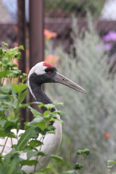 ����� ������ ������������� ���������� �� ����� 