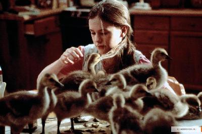 ������ ������ ����! 