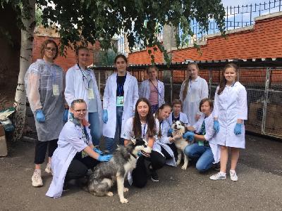 ������ ������������ �����. ������ ������