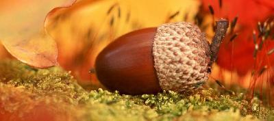 ���������� ������� ����������...