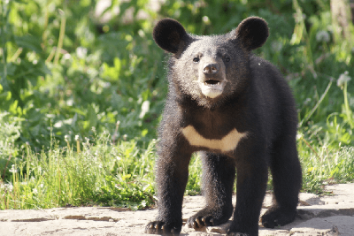 ������ ����� �� ������!