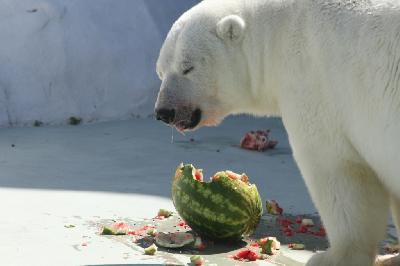 ������� �����