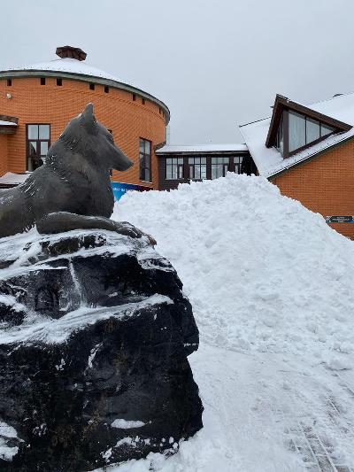 �������� �������� ��������� �� ��������� ����������, ����� ����������!❄