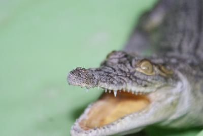 �������, 17 ����, �� ��� ���� �������� ��������� ���� ����������