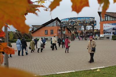 🍁������ �������.���������🍁