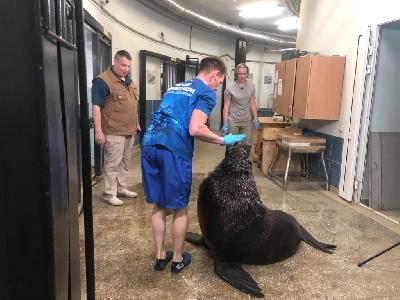 �������� � ���������