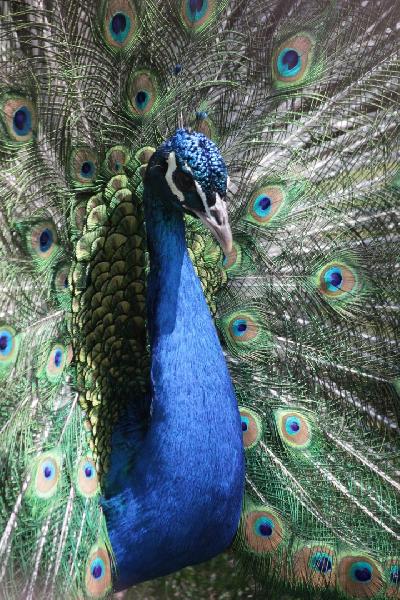 ������� �������� ���� ����� � �����, � ����� ���� ������.