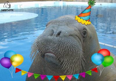 ���� �����🎁