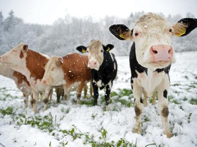 ���������� ���������� � ���� ����!🤙🏻��